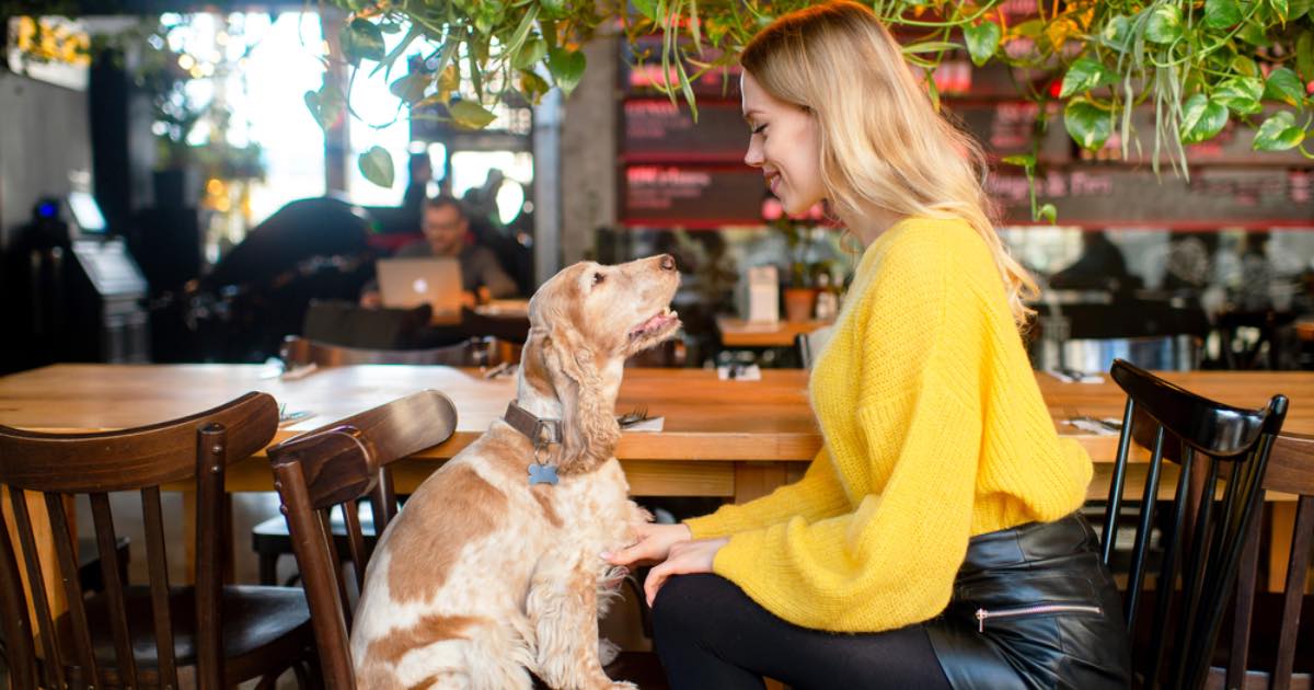 pet friendly bar denver