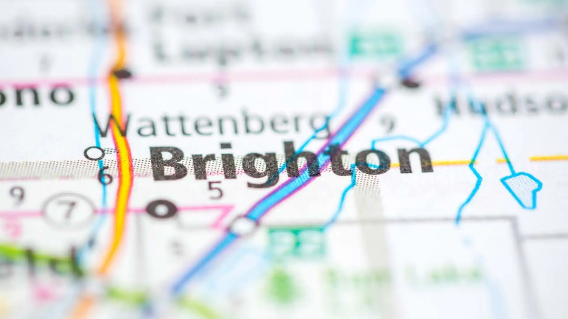 brighton movers