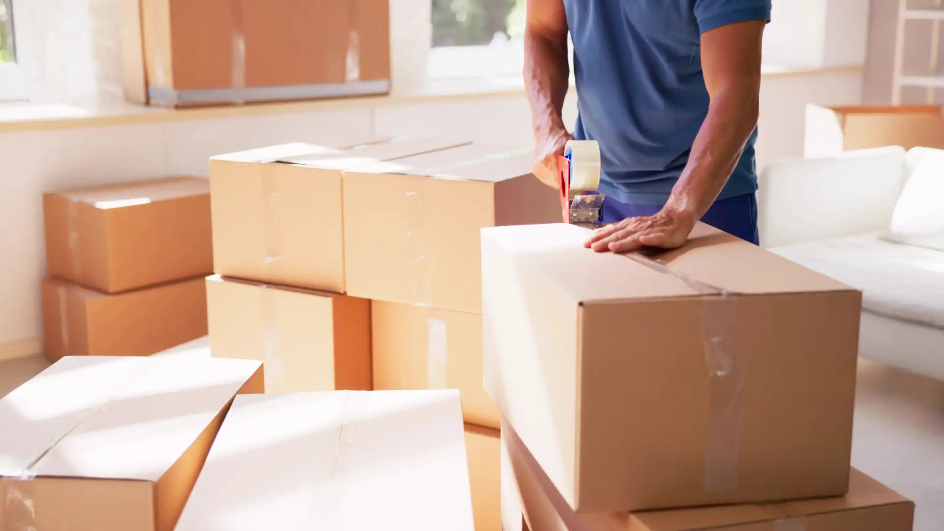 professional movers in Greenwood Village