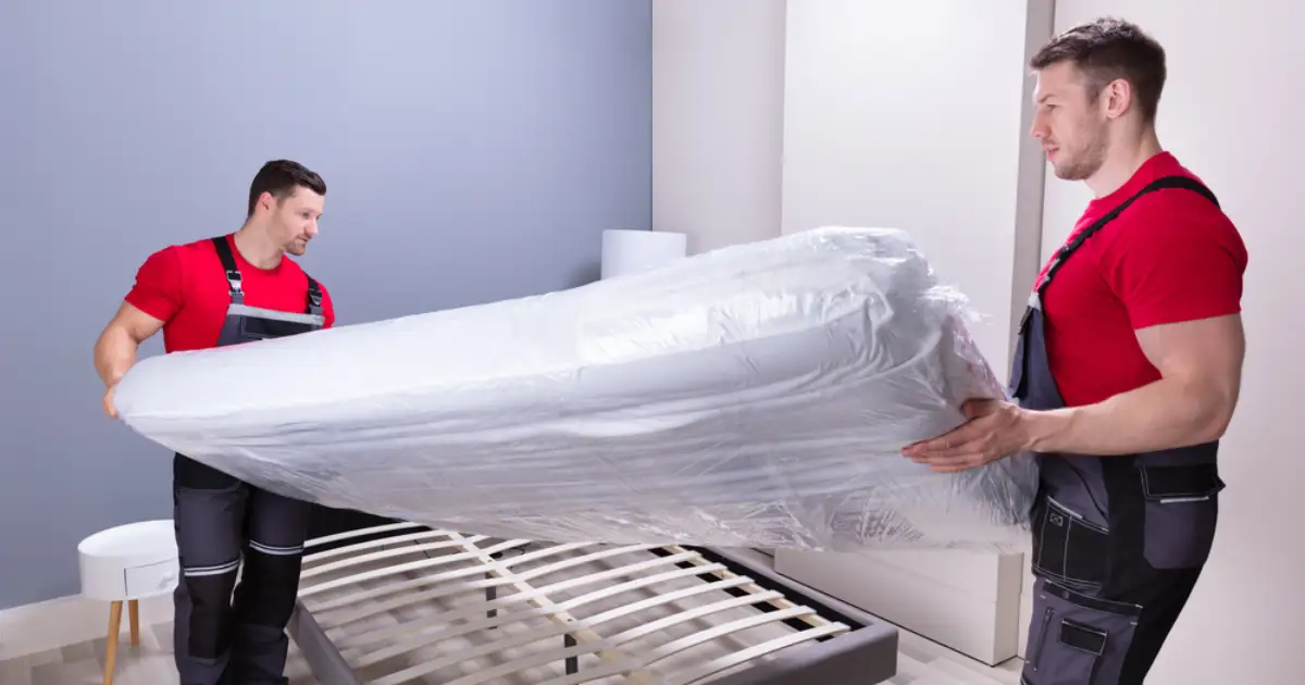 professional movers in Thornton 