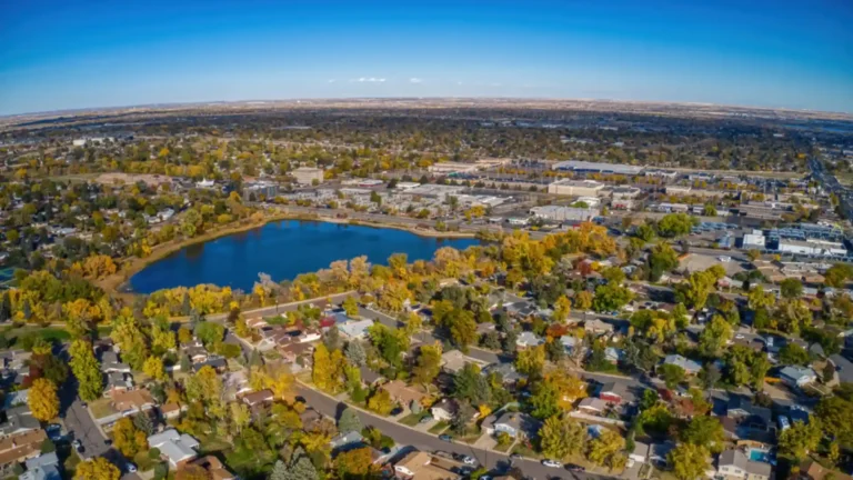 relocation services Thornton co