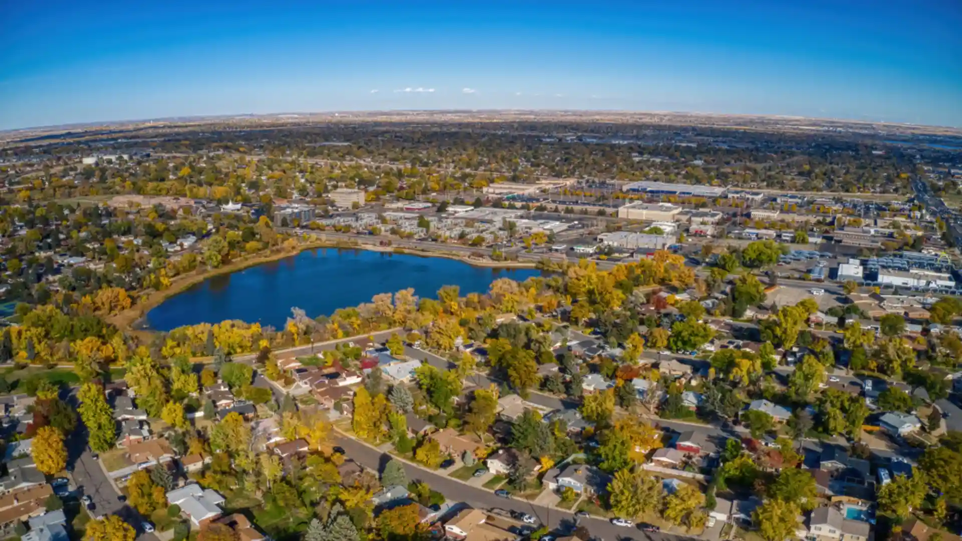relocation services Thornton co