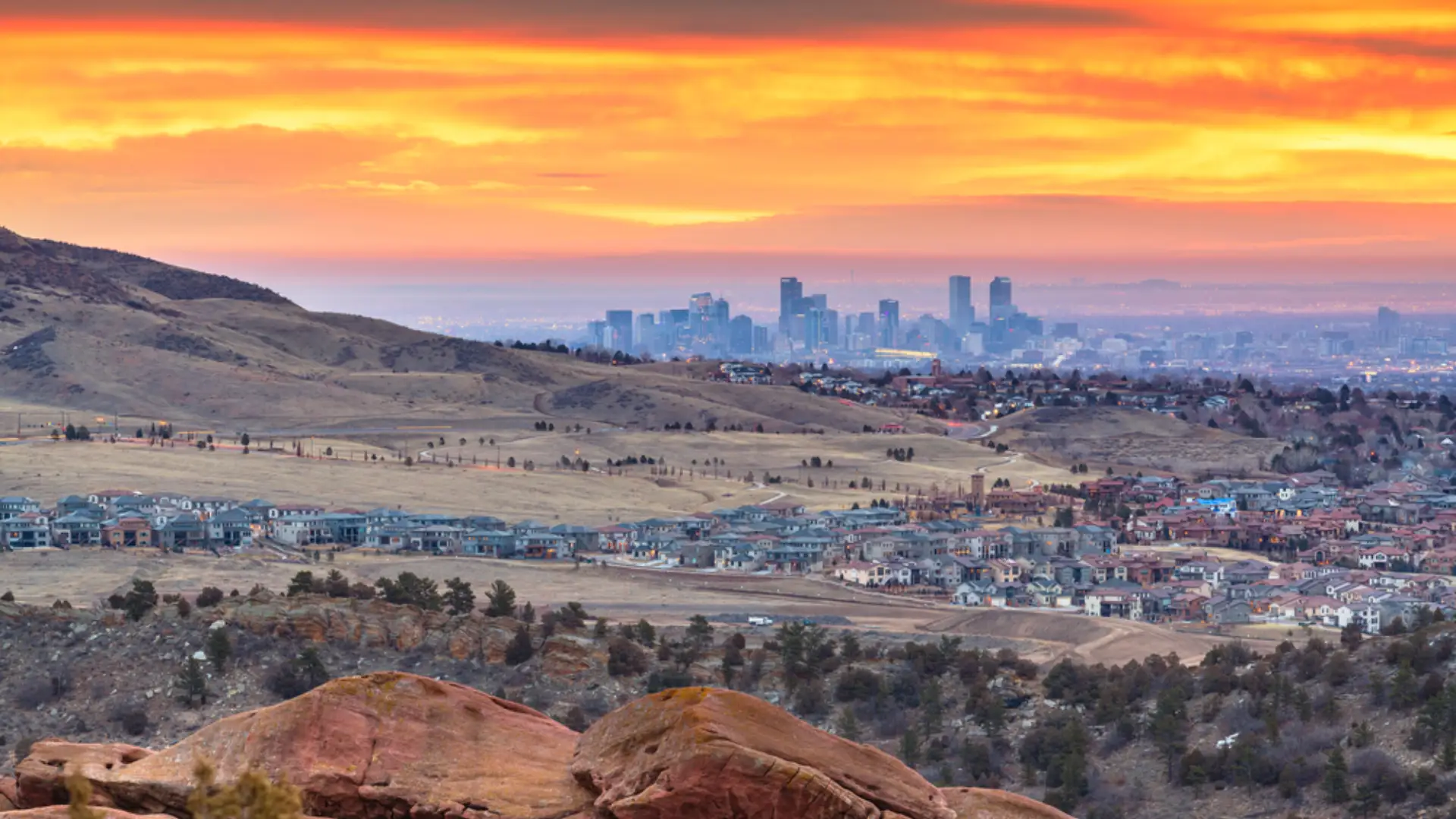 wheat ridge movers
